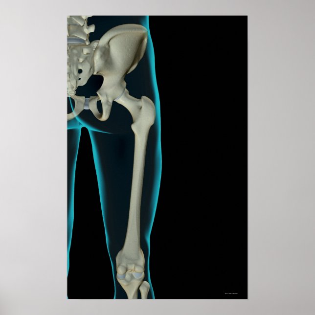 Knochen der Angesagten 2 Poster (Vorne)