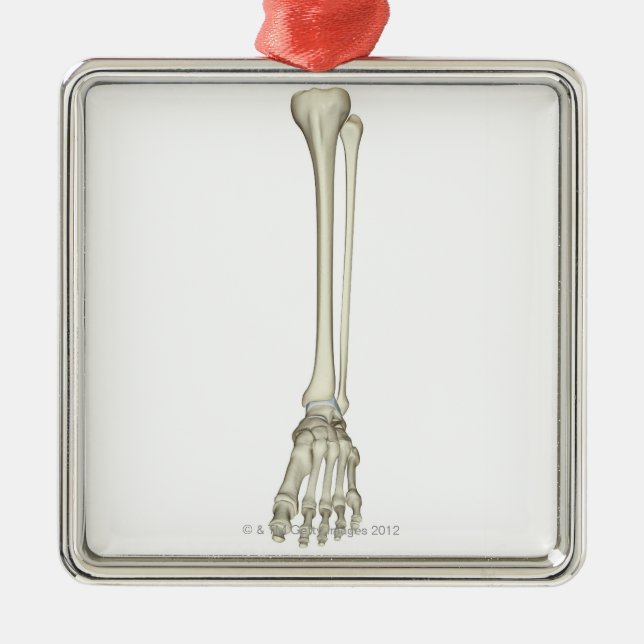 Knochen des Beines Ornament Aus Metall (Vorne)