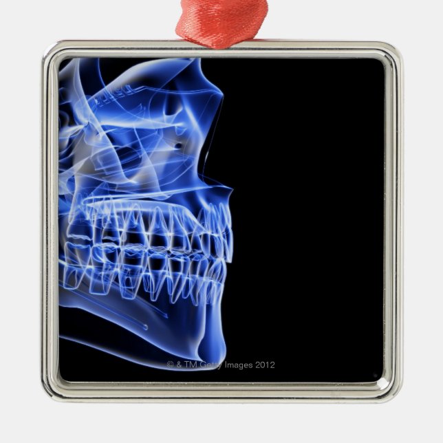 Knochen des Kiefers Ornament Aus Metall (Vorne)