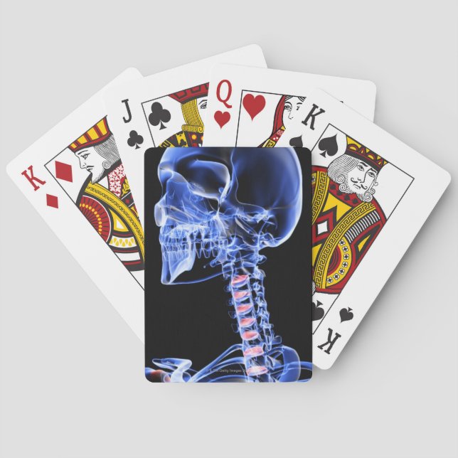 Knochen des Kopfes und des Nackens 7 Spielkarten (Rückseite)