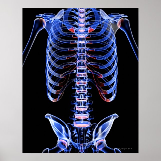 Knochen des Stamm 2 Poster (Vorne)