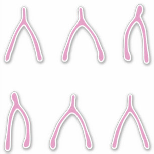 Knochen   Niedlich Pink Wishbone Aufkleber