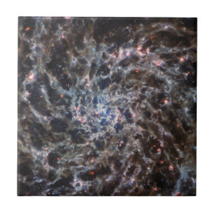 Knochen von Galaxy IC5332 von JWST Fliese