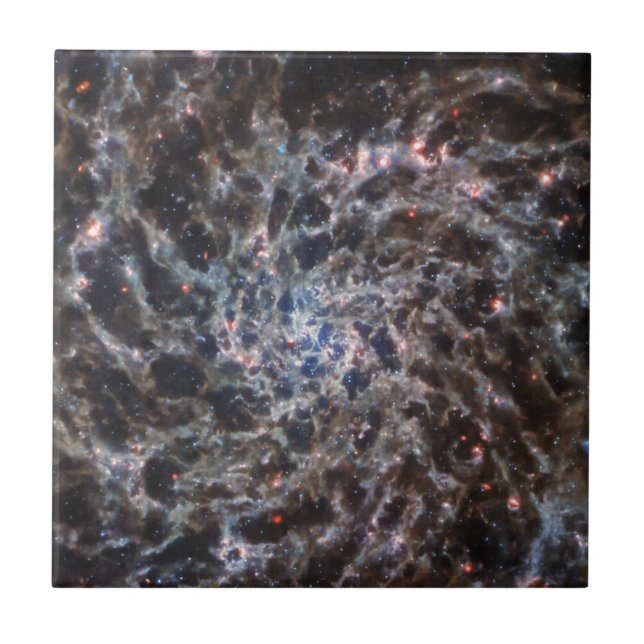 Knochen von Galaxy IC5332 von JWST Fliese (Vorderseite)