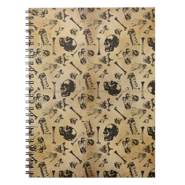 Knochenanatomie Notizblock (Vorderseite)