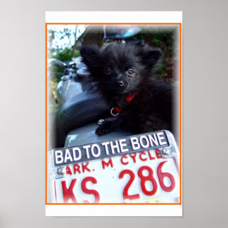 knochenschädigend poster