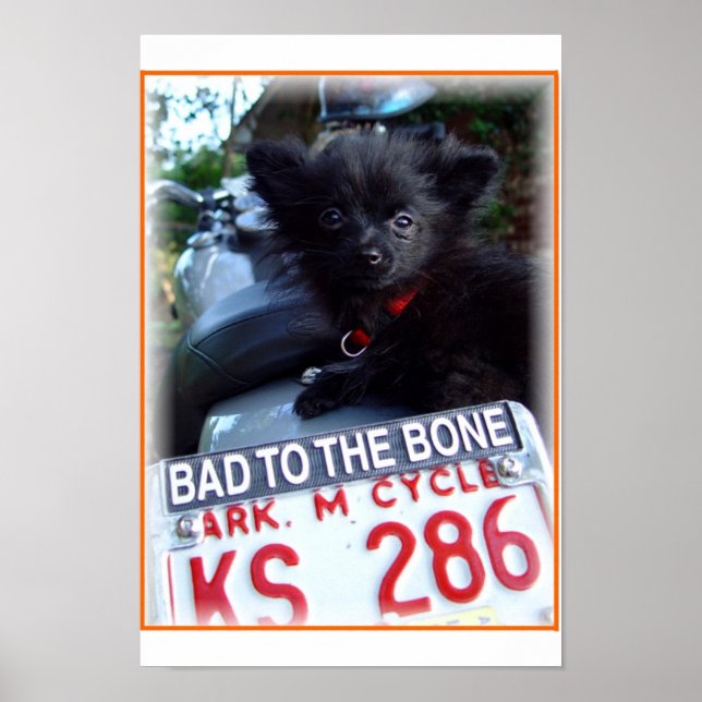 knochenschädigend poster (Vorne)