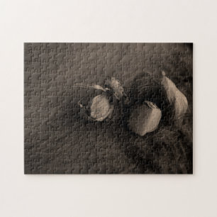 Knolic Still Life Fine Art Fotograf