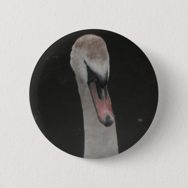Knopf Baby Schwan Gesicht Button (Vorderseite)