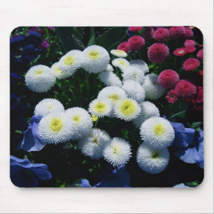 Knopf-Chrysanthemen Mousepad