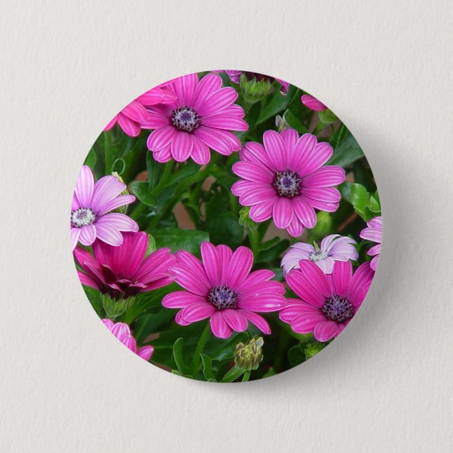 Knopf Cranesbill Pelargonie-(rosa Blumen) Button (Vorderseite)