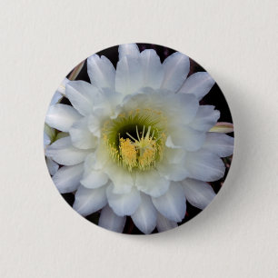 Knopf der Kaktus-Blumen-4355 Button