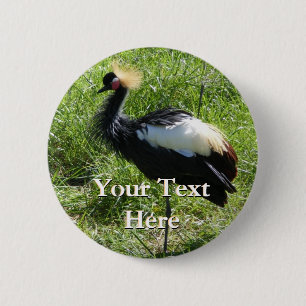 Knopf für graue Krane Button