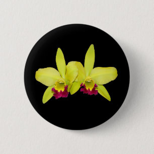 Knopf, GELB und PURPLE_CATTLEYAS Button