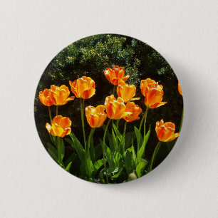 Knopf Gelbe Orangenhaut Button
