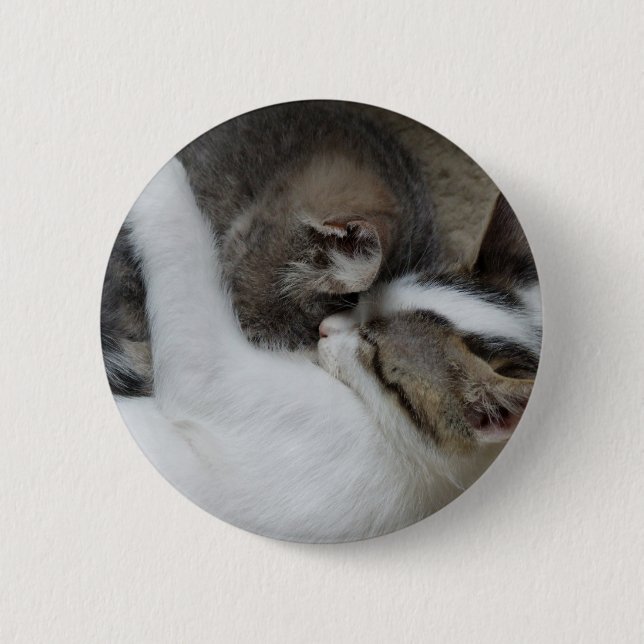 Knopf Katzenschnecke Button (Vorderseite)