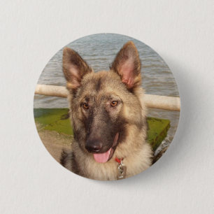 Knopf mit deutschem Hirte Button