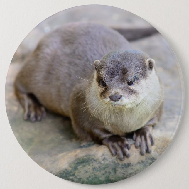 Knopf mit kleckgelbem Otter Button (Vorderseite)