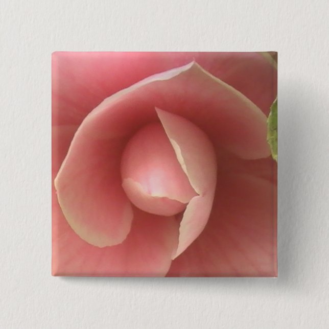 Knopf Rosa Kamelien Button (Vorderseite)