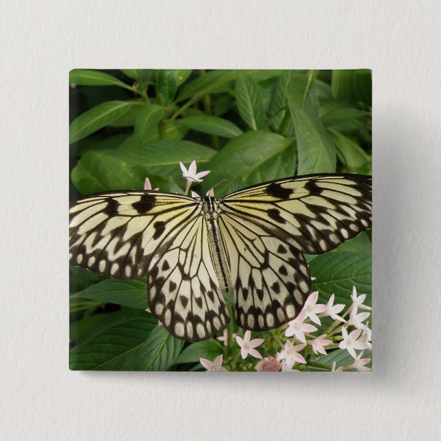 Knopfdrucktaste Button (Vorderseite)