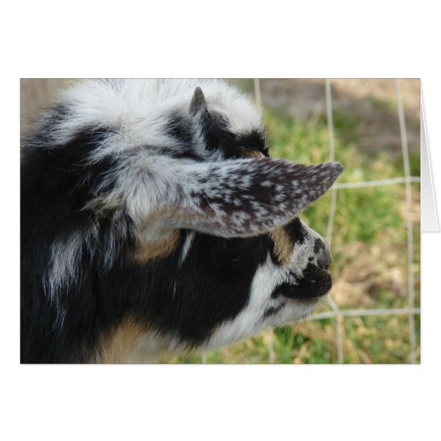 Knöpfe aussehen (Vorderseite (Horizontal))