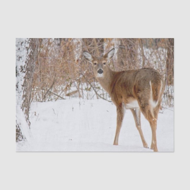 Knopfknochen Hirsch im Winter Weißen Schneefeld Seidenpapier (Vorderseite)