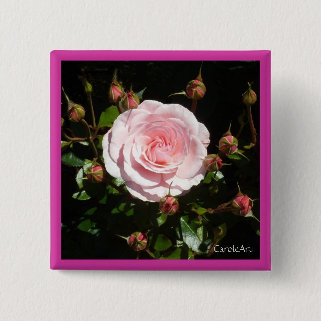 Knospende rosa Rosen-Knospen Button (Vorderseite)