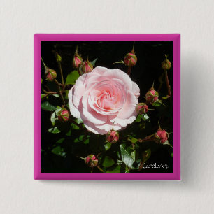 Knospende rosa Rosen-Knospen Button
