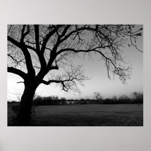 Knotiger Baum Poster