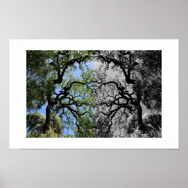 Knots Reflection Photography Poster (Vorne)