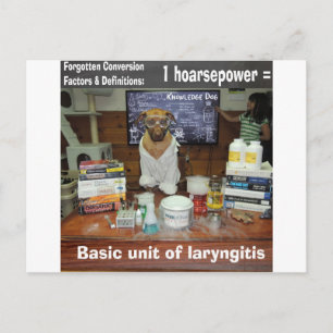 Knowledge Dog Vergessene Konvertierungen Hoarsepow Postkarte
