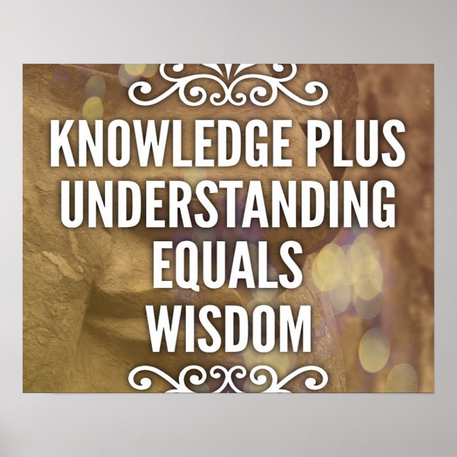 Knowledge Plus Verständnis für Weisheitsposter Poster (Vorne)