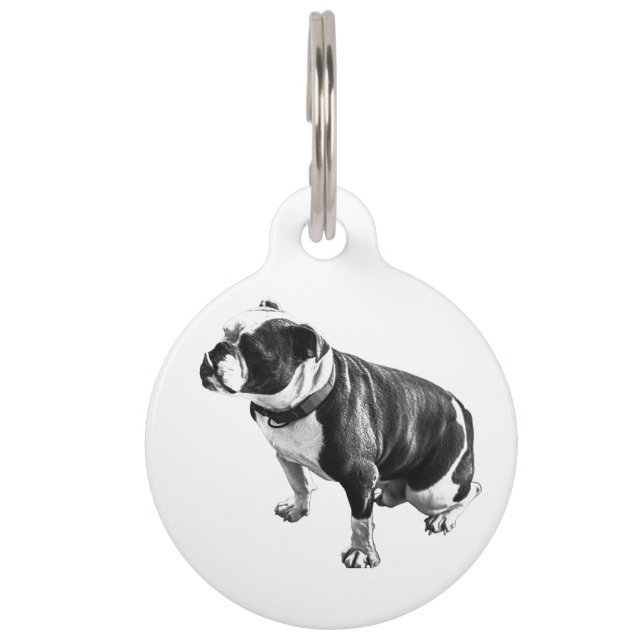 Known by Stillness Haustiermarke (Vorderseite)