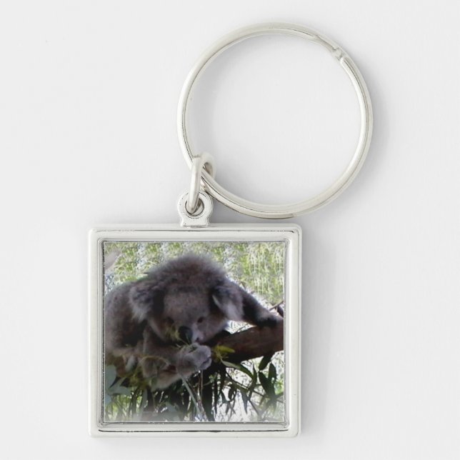 Knuddeliger Koala Schlüsselanhänger (Vorne)