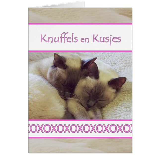 Knuffels en Kusjes, Hug und Kiss in niederländisch (Vorne)