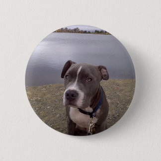 Koa Vasona Park Button