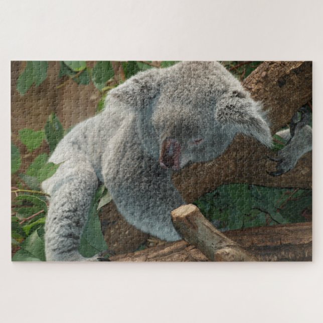 Koala (Horizontal)