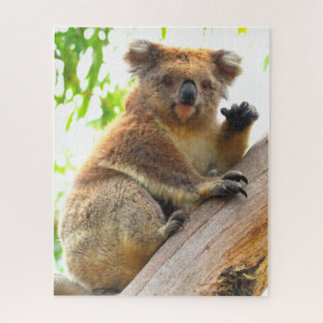 KOALA 16x20 INCH (Vertikal)