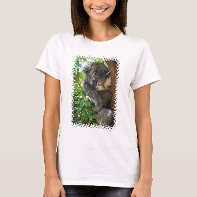 koala-34.jpg T-Shirt (Vorderseite)