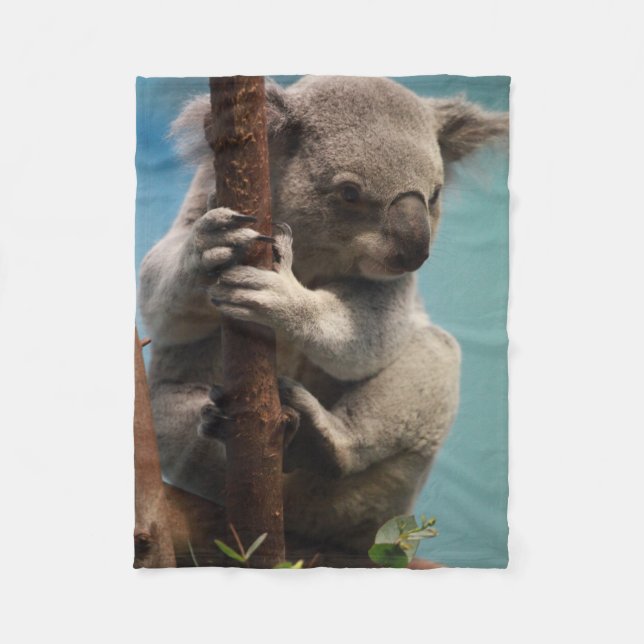 Koala adorable se tenant sur la couverture (Devant)