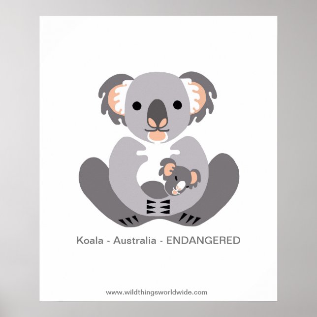 Koala - affiche (Devant)