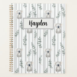 Koala and Gray Stripes 