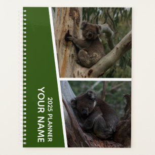 Koala Australia Photo Collage, Green 2025