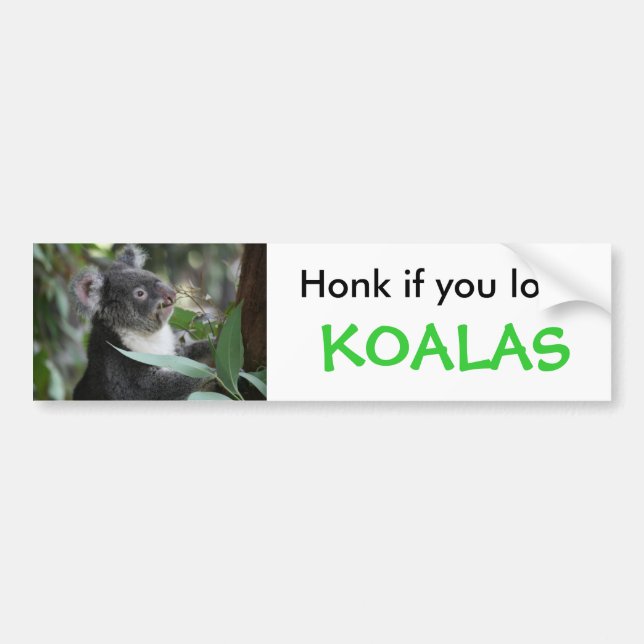 Koala Autoaufkleber (Vorne)