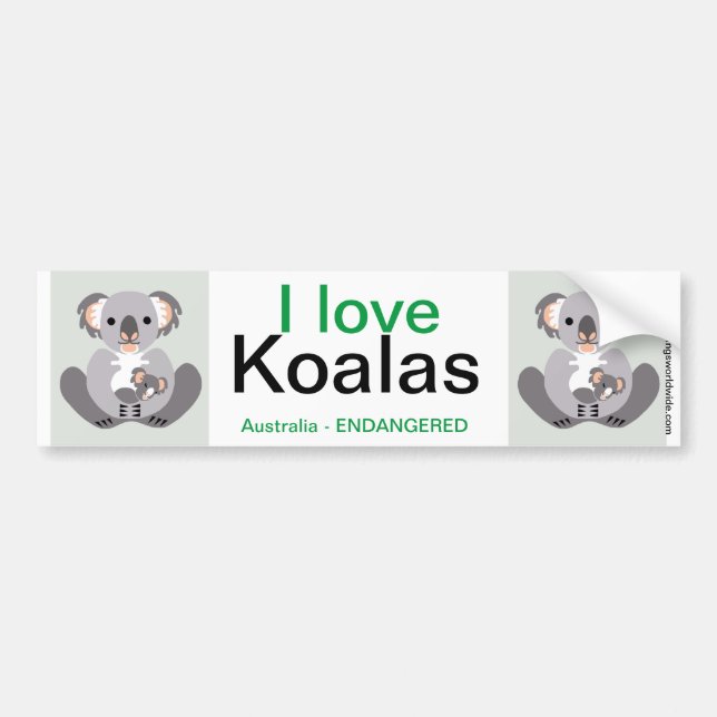 Koala- Autoaufkleber (Vorne)