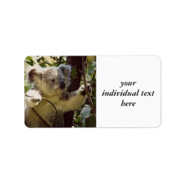 Koala-Baby Adressaufkleber