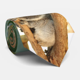 Koala Bär -3, Krawatte