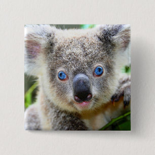 Koala-Bär Button
