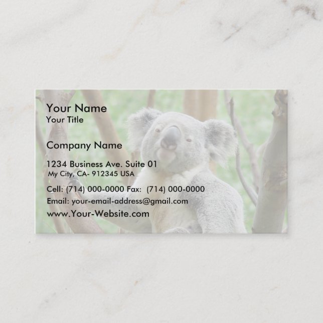 Koala-Bär, der auf dem Baum an Perth-Zoo sitzt Visitenkarte (Vorderseite)