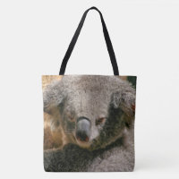 Koala-Bär, der im Baum hängt